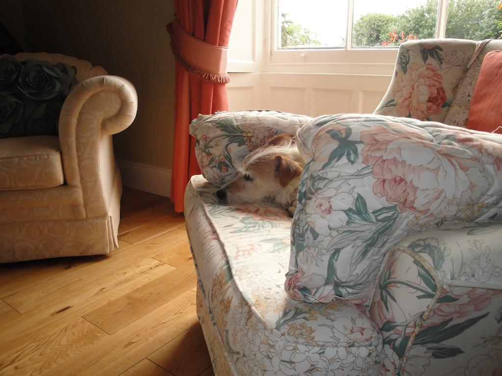 Cary Fitzpaine House Bed and Breakfast Babcary Buitenkant foto