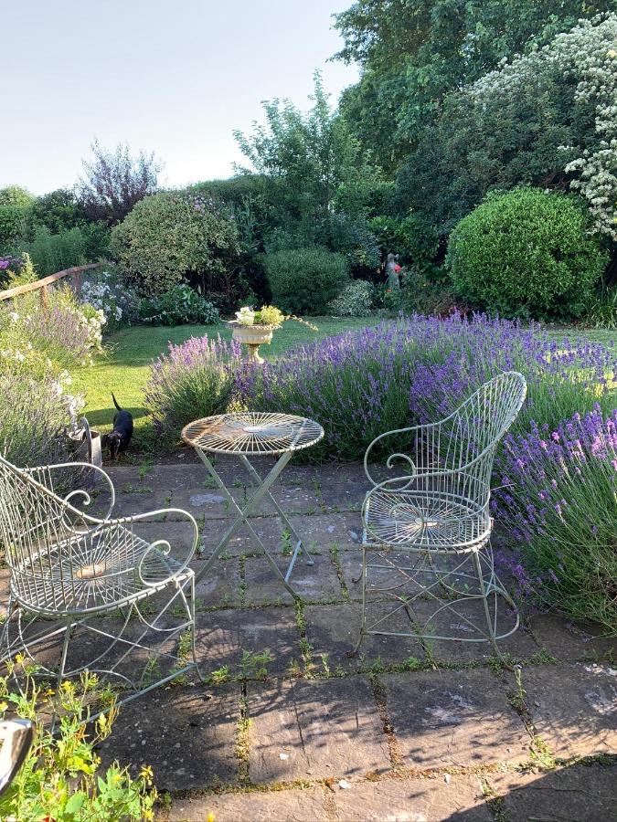 Cary Fitzpaine House Bed and Breakfast Babcary Buitenkant foto
